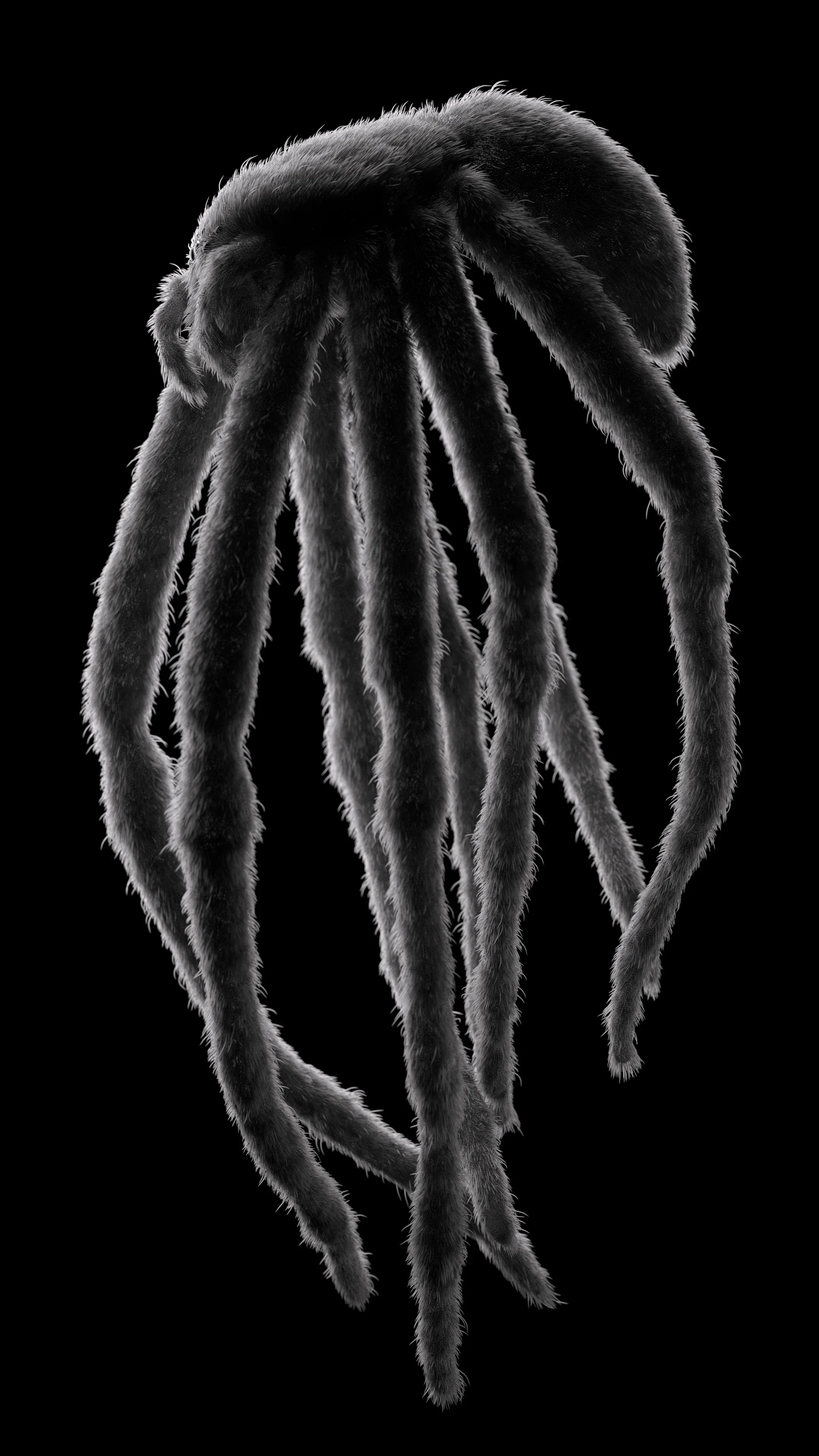 VEIL72 — 9