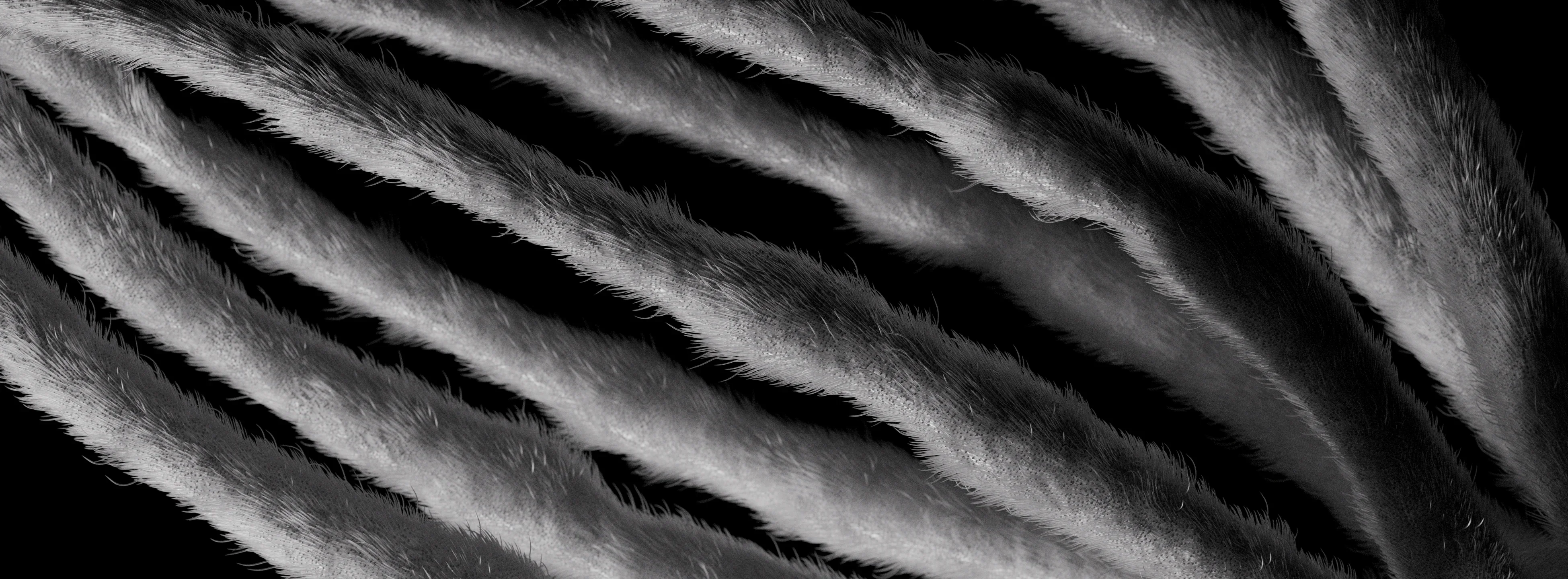 VEIL72 — 13