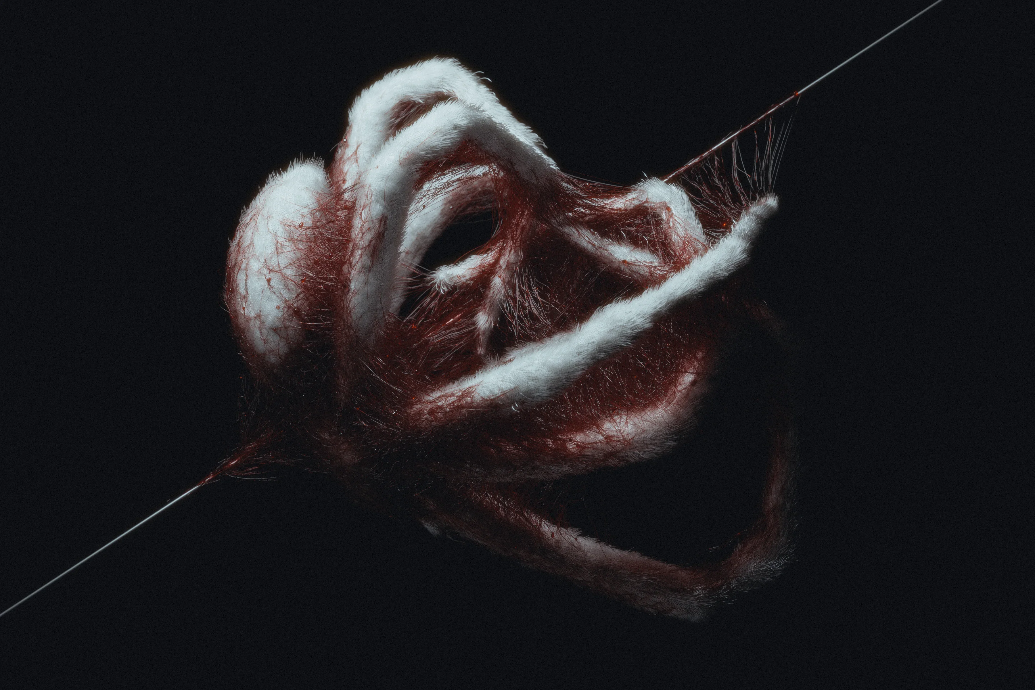 VEIL72 — 1