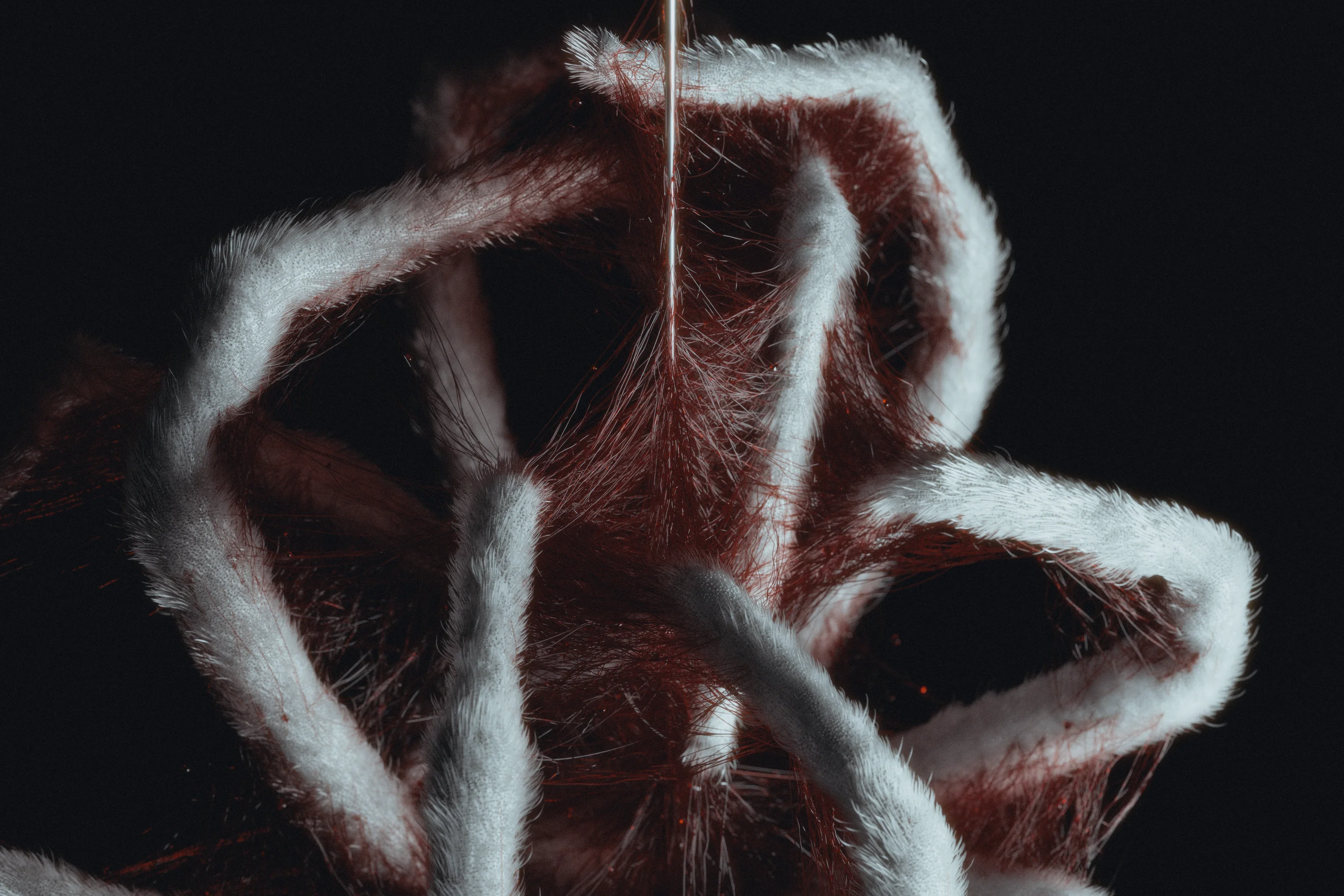 VEIL72 — 2