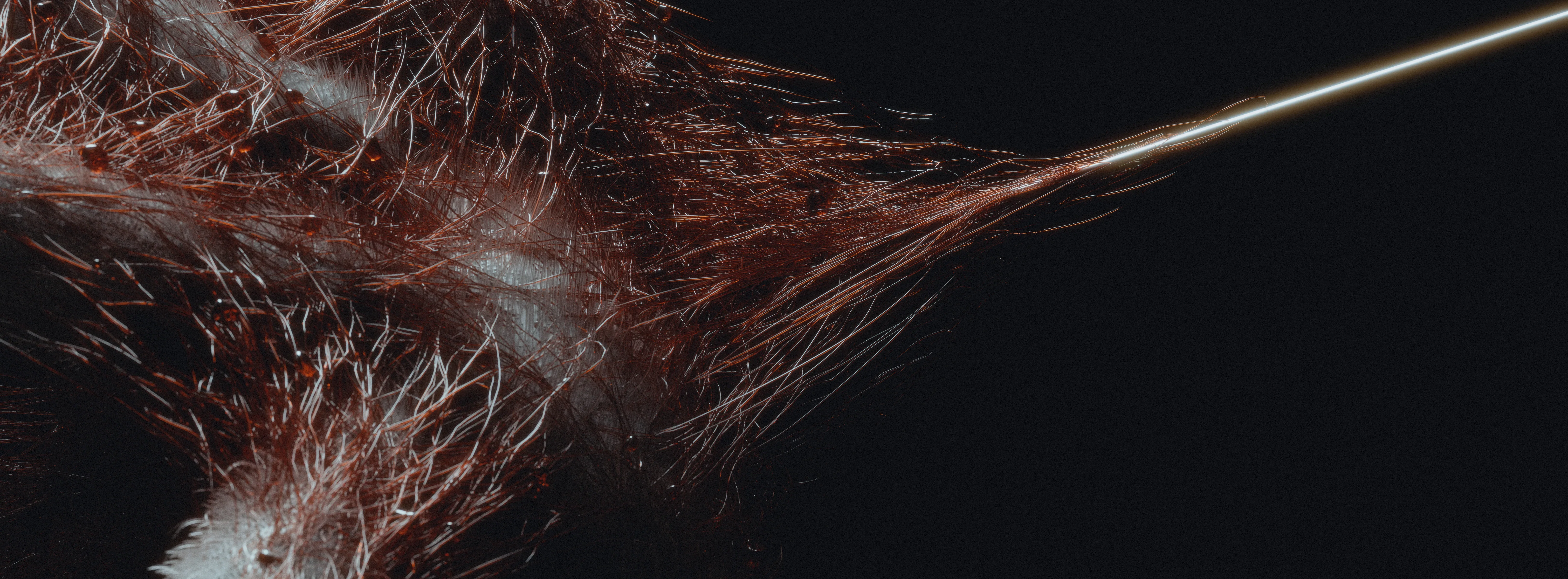 VEIL72 — 3