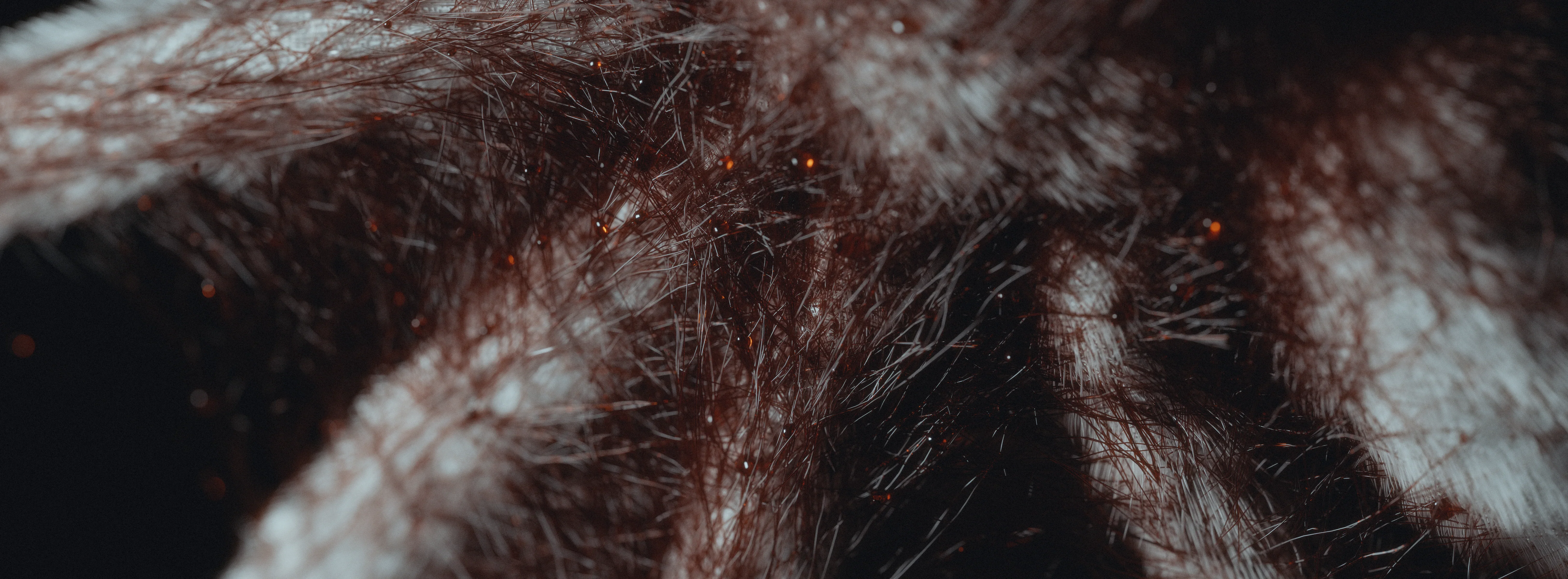 VEIL72 — 5