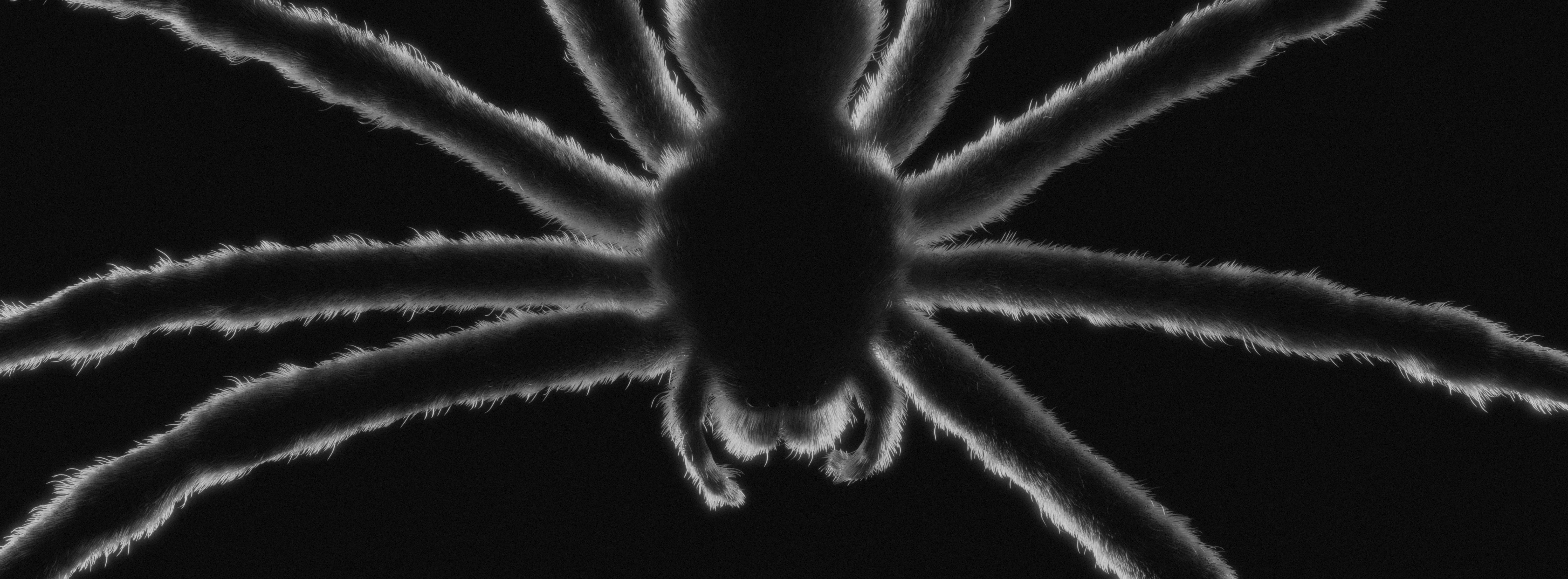 VEIL72 — 6