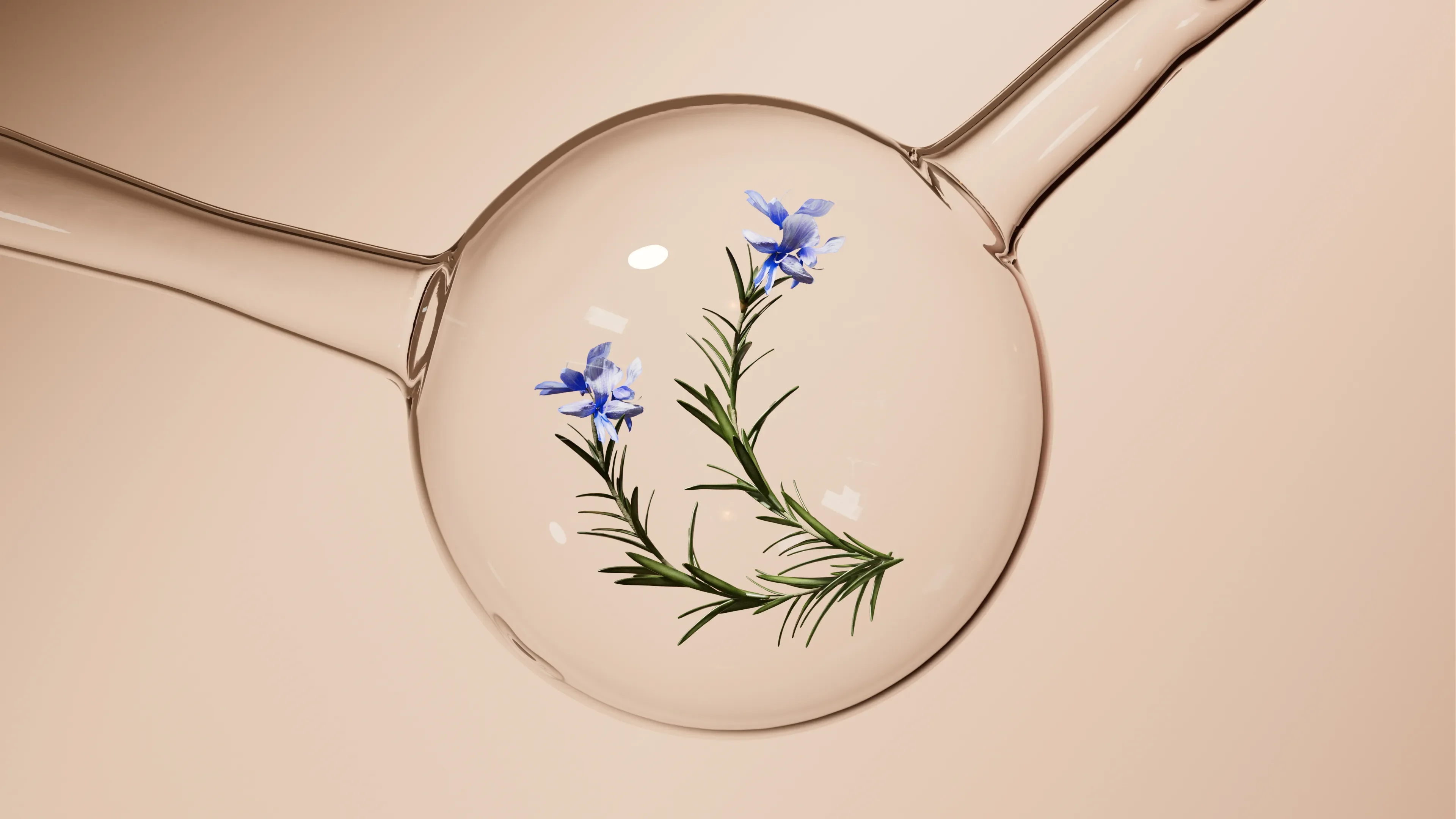 WELEDA — 1