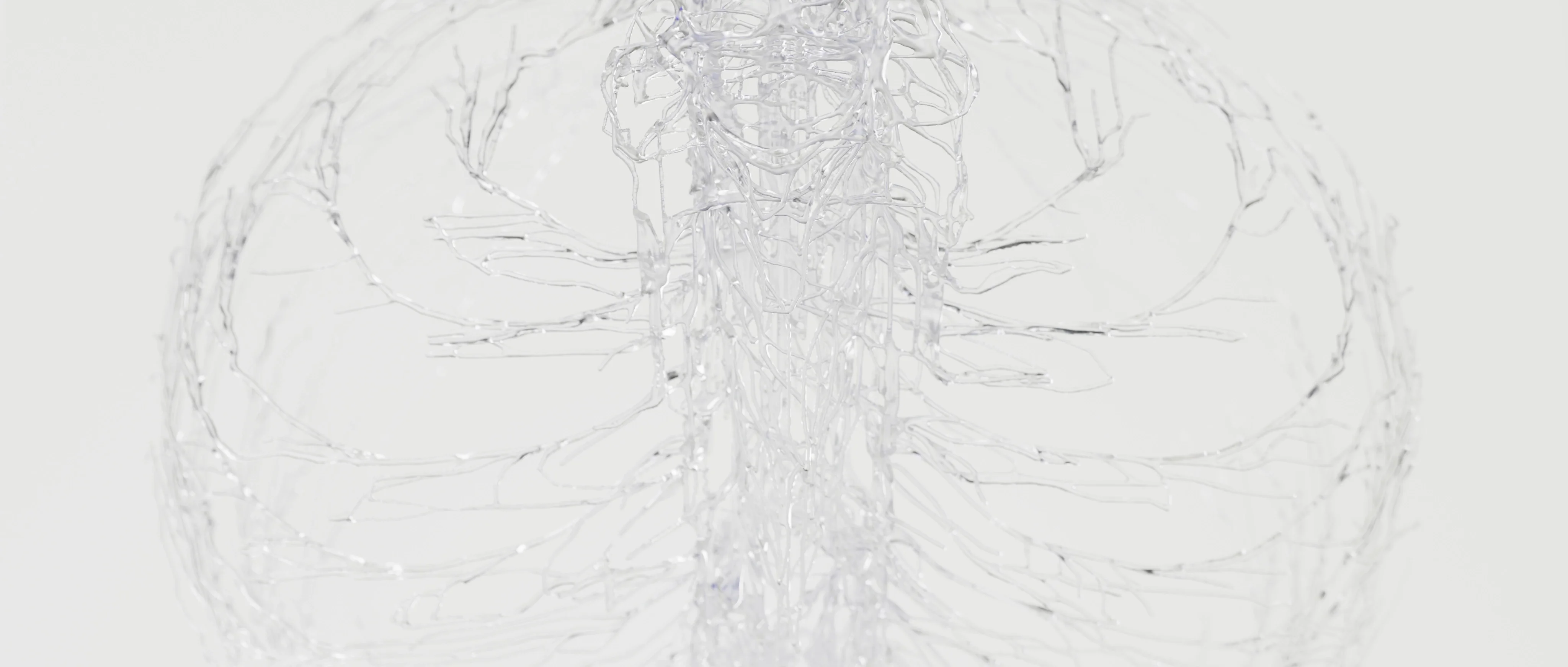 INPUT TO FORM — 30
